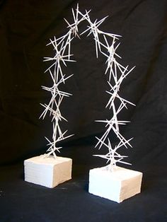 two wooden blocks with white sticks sticking out of them