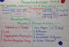 a whiteboard with some writing on it that has different types of words and numbers