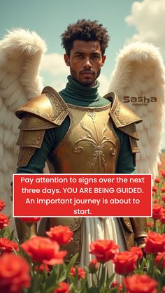 a man dressed in armor with wings standing next to red flowers and the words pay attention to signs over the next three days, you are being guided