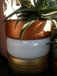 a potted plant sitting on top of a wooden table