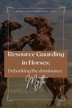 resource guarding instead of static hierarchy Feel Safe, Wild Horses