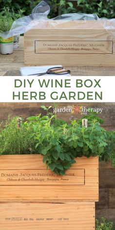 the diy wine box herb garden is an easy way to grow herbs