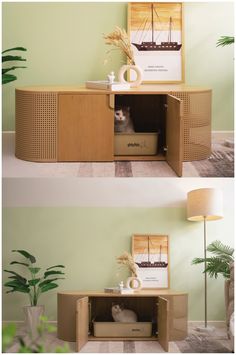 two pictures of a cat sitting in a cabinet