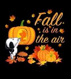 a snoopy dog and pumpkins with the words fall is in the air