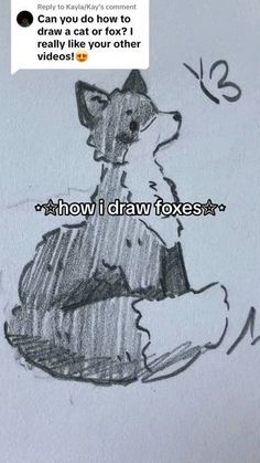 a drawing of a dog with the caption how i draw foxes