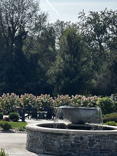 an outdoor fountain surrounded by flowers and trees