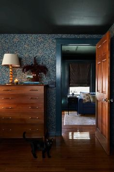 a black cat standing in the middle of a room next to a dresser and lamp