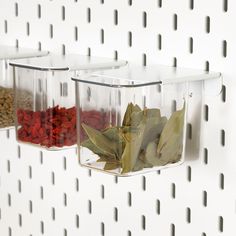 two clear containers filled with different types of food on a white wall behind them are leaves and nuts