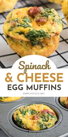 spinach and cheese egg muffins in a muffin tin