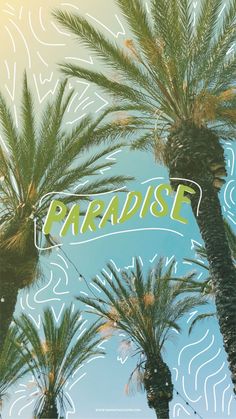 two palm trees with the words paradise on them