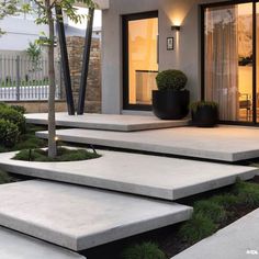 modern concrete steps leading up to the front door of a house with potted trees