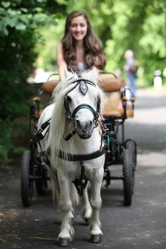 a woman riding in a horse drawn carriage down a road next to some trees and bushes