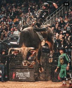 a man riding on the back of a brown bull in front of a large crowd