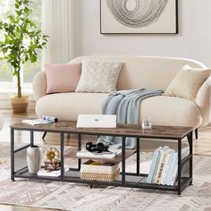 a living room with a couch, coffee table and potted plant