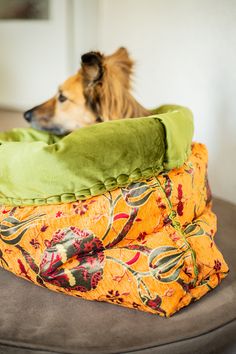 a dog laying on top of a green pillow