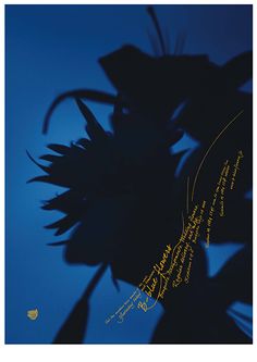 the back side of a sunflower with writing on it's petals, against a blue sky