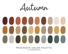 Fall Color Pallet, Procreate Color Palettes, Jasper Color, Fall Palette, Procreate Illustration, Ipad Procreate, Colour Pallets, Procreate Art