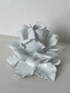 a white flower sitting on top of a table