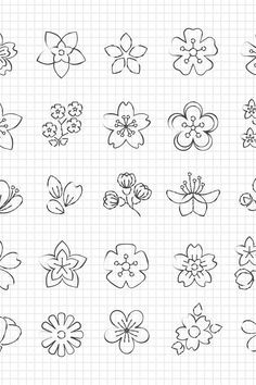 the different types of flowers drawn on a notebook sheet with graph paper behind them stock photo