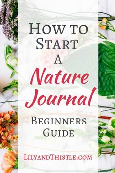 flowers and herbs with the title how to start a nature journal beginner's guide