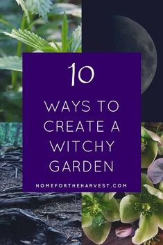 the words 10 ways to create a witchy garden on top of photos of plants