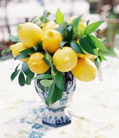 Emily Clarke, Lemon Centerpieces, Italian Theme, Lemon Kitchen, Tafel Decor