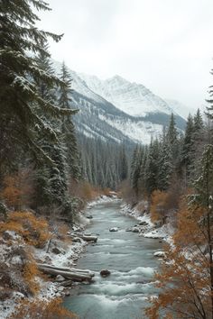 a river running through a forest covered in snow