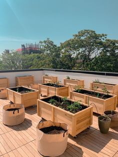 several wooden planters with plants growing in them on a roof top garden area near trees