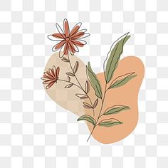 a plant with leaves and flowers on it, hand drawn illustration png clipart