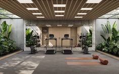 an indoor gym with treadmills, exercise mats and plants on the wall behind them