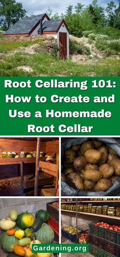 the cover of root cellar 101 how to create and use a homemade root cellar