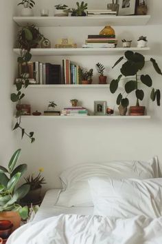 a bedroom with white walls and shelves filled with plants