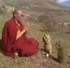 a man sitting on top of a grass covered hill next to a dog and cat