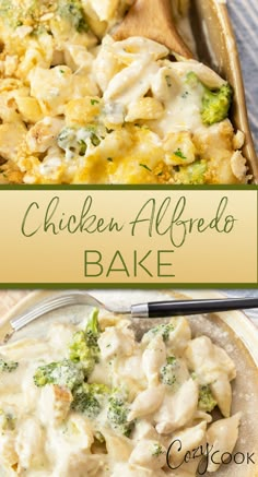 mini shells with broccoli and a creamy alfredo sauce Cheesy Chicken Alfredo, Chicken Alfredo Casserole, Alfredo Bake, Chicken Alfredo Bake, Chicken Broccoli Alfredo, Chicken Alfredo Recipes, Lasagna Rollups, Leftover Rotisserie Chicken