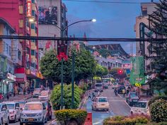 a city street filled with lots of traffic next to tall buildings and green trees on both sides