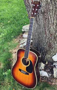 an acoustic guitar leaning against a tree in the grass