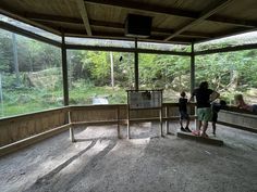 two people standing in an enclosed area looking out onto the woods from inside a building