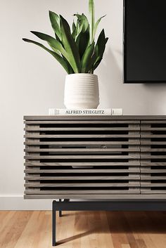 a potted plant sitting on top of a wooden cabinet