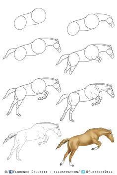 how to draw a horse step by step instructions for beginners and advanced drawing students