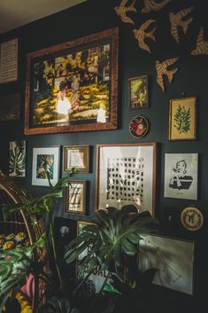 a wall with many pictures and plants on it