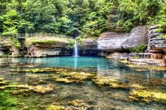 a waterfall in the middle of a forest filled with green plants and water surrounded by rocks