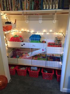 a room filled with lots of caged animals next to a book shelf full of books