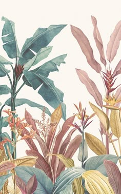 an illustration of tropical plants and flowers on a white background with pink, green, yellow and blue leaves