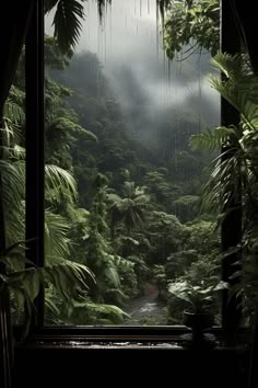 an open window with rain falling down in the forest, and lush greenery surrounding it