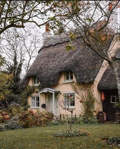 a house with a thatched roof surrounded by trees