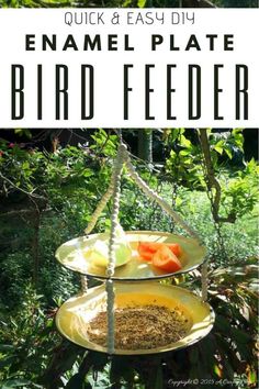 a bird feeder hanging from a tree with text overlay reading quick and easy diy enamel plate bird feeder