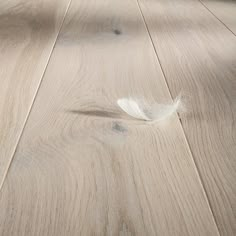 a white feather laying on top of a wooden floor