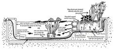 an underground water source is shown in this diagram