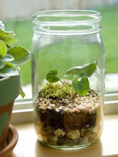 a glass jar filled with plants sitting on top of a window sill next to a potted plant