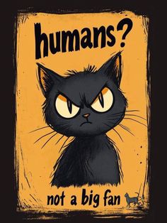 a black cat with yellow eyes and the words humans? not a big fan